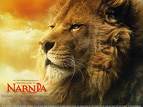 un beau lion